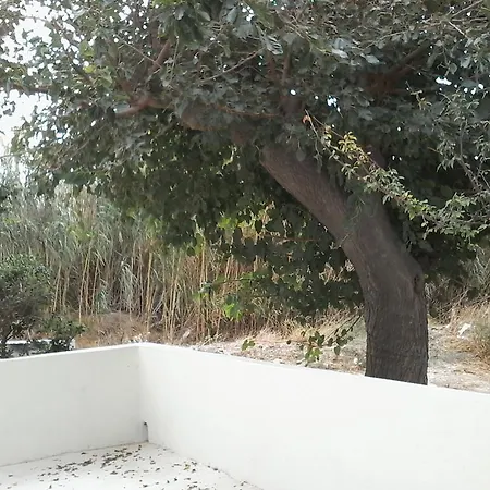 Gavrio home * Gavrio